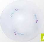 Plafon LED RC07-10W CW barwa zimna